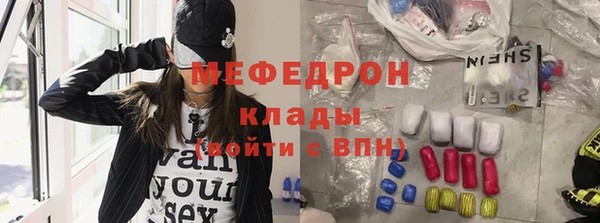 индика Арсеньев