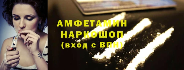 индика Арсеньев