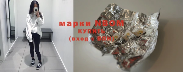 индика Арсеньев
