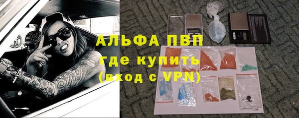 индика Арсеньев