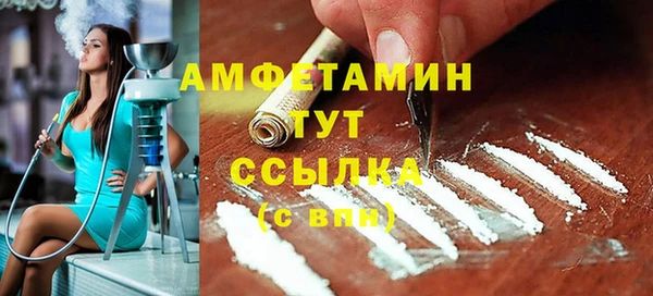 индика Арсеньев