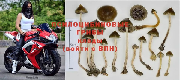 индика Арсеньев