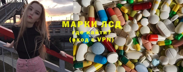 индика Арсеньев
