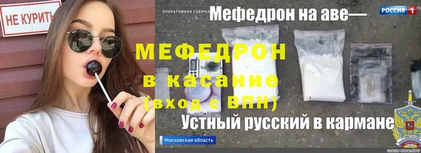 индика Арсеньев