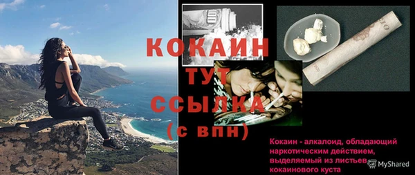 индика Арсеньев