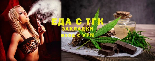 индика Арсеньев